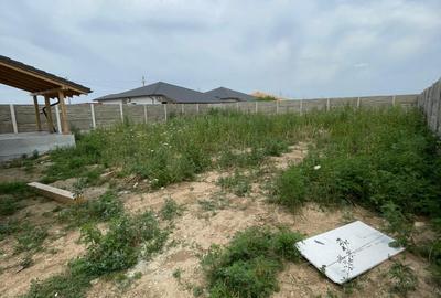 Casa Individuala pe parter in Mosnita, Toate Utilitatile, Drum asfaltat - 4