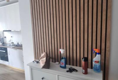 Garsonieră decomandată în Roșu - 6