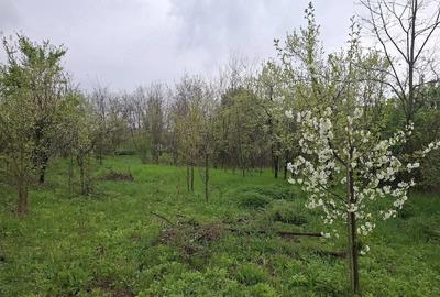 Teren de 3000 mp, în Predeal - 1