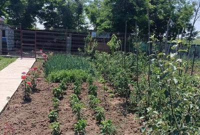 Casă cu Teren 720 Mp în Popești - 2