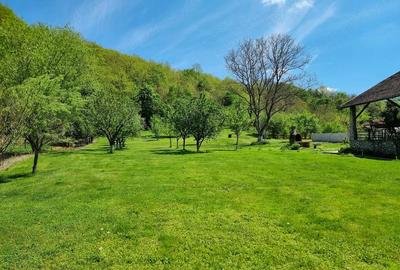 Casă cu 2 camere cu Teren 3103 Mp în Leșnic - 5