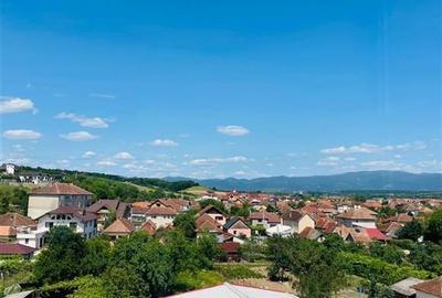 RECO APARTAMENT CU DOUA CAMERE IN BEIUS - 6