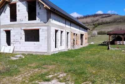 Casă cu Teren 3500 Mp în Pestișu Mic - 3