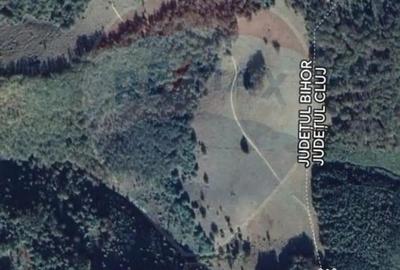 Teren de 128948 mp, în Munteni - 2