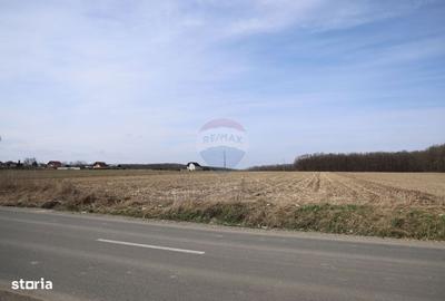 Spațiu comercial, în Bosanci - 8