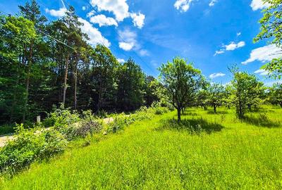 Teren Construcții intravilan de 6865 mp, în Cotmeana - 8