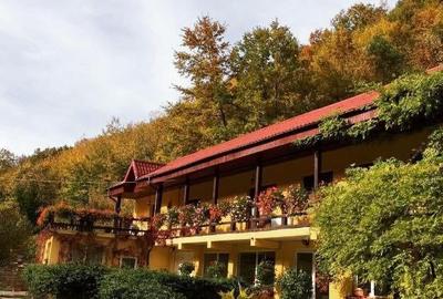 Teren pentru investitii 11.000 mp - 36