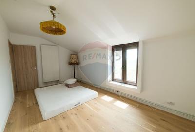 Teren 9.4 ha extravilan + casa 230 mp - 17