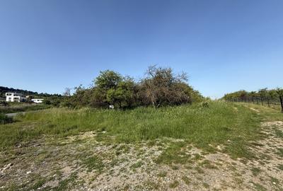 INVESTITIE! Teren extravilan - 1050 mp - zona Wonderland , Cluj! - 2