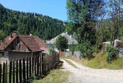 Teren de 1349 mp, în Scărișoara - 3