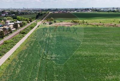 Teren de vanzare Chitila / loturi de casa/ Investitie / intravilan - 3