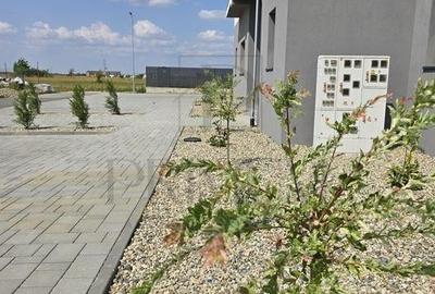 Apartament Ursnei - zona foarte buna- asfalt -toate utilitatile - 3