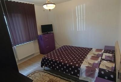 Apartament cu 2 camere decomandat, mobilat în Podu Roș - 5