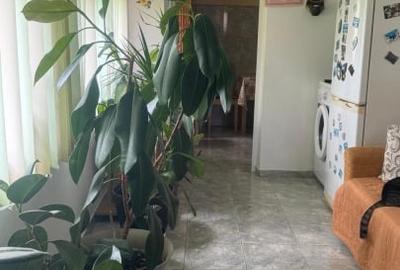 Ansamblu 2 Case Solide (Fundație Beton 2 m + Zidărie Cărămidă), 1.849 mp Teren, - 4