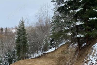 Teren de vanzare Marisel | Panorama & Intimitate - 6