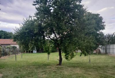 Casa 5 Camere, P+M, Stanesti - Gorj - 4