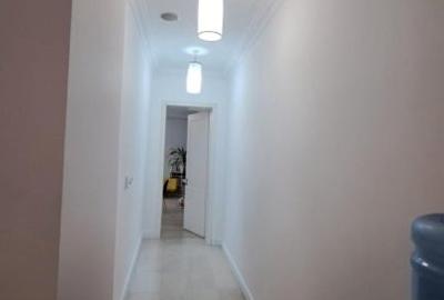 Locatie Renovata Lux Ultra Central Piata Unirii , Stradal - 7