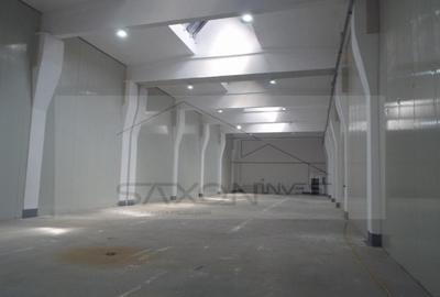 Sos Giurgiului- Jilava - 4