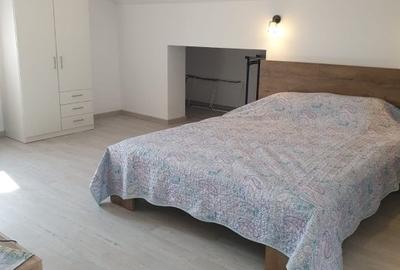 Vila P+1+M - zona Elvila - 6 camere - 2.500 euro/luna (Cod E1) - 23