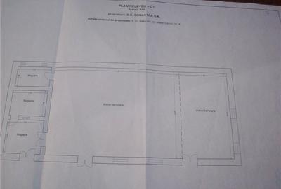 Casă cu 6 camere în Murfatlar - 8