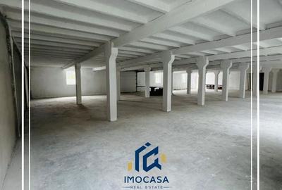 Spațiu industrial, de 470 mp, în Alfa - 4