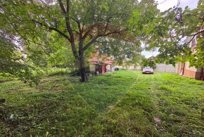 Casă cu 4 camere cu Teren 50800 Mp în Șoimuș - 7