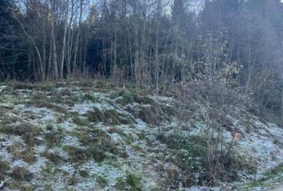 Teren intravilan, 20000 mp, zona Manastirea Humorului - 3