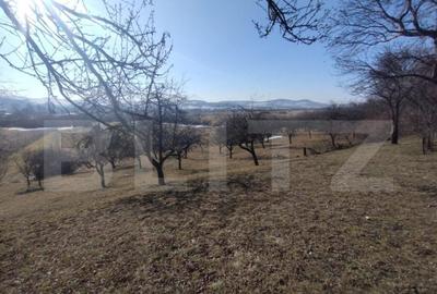 Teren extravilan de vanzare, 25 ari, zona Rusul Bargaului - 5