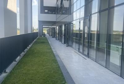 Spatiu comercial strada Nucului nr. 42, Brasov - 5