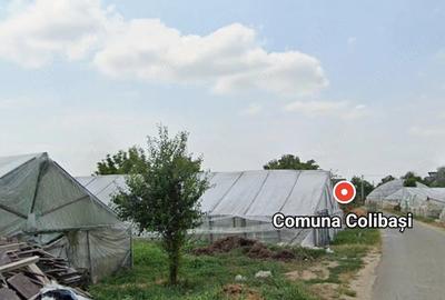 Teren de 2500 mp, în Câmpurelu - 2