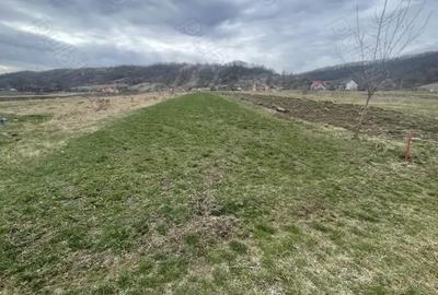 Teren de 3145 mp, în Mănăstirea Cașin - 5