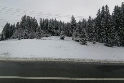 Teren de 10238 mp, în Central - 3