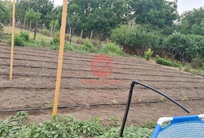 Casă cu Teren 1711 Mp în Topraisar - 8