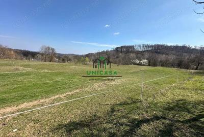 Teren de 8131 mp, în Băile Govora - 3