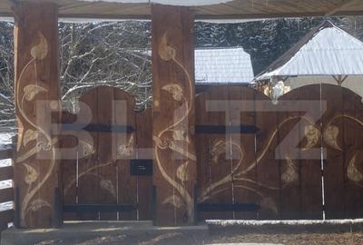 Vanzare 2 case tradi?ionale, 3 camere + teren, 3450 mp, Ca - 8