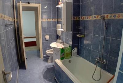 Apartament cu 2 camere circular, mobilat în Nicolae Grigorescu - 14