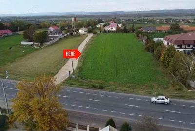 Vand teren intravilan 5000mp, Posta Calnau - 4