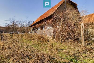 Casa rustica de vanzare in Tau? - 1