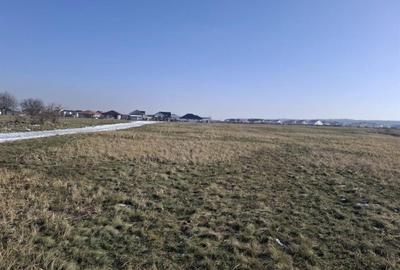 RECO teren extravilan Oradea zona Grigorescu - 4