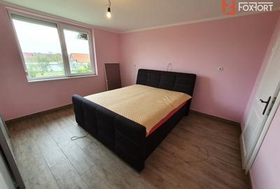 Casa cu 5 camere, 236 mp, teren 5805 mp, gaz, Brestea - Denta - 36