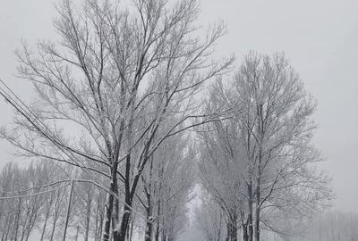 CASĂ  DE VÂNZARE ÎN COMUNA BOȚEȘTI -ARGEȘ - 16