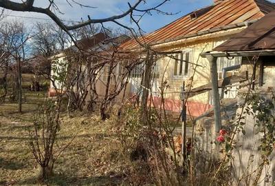 Casă cu Teren 4200 Mp în Poiana - 2