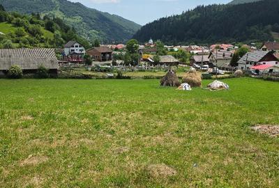 Teren intravilan parcelabil 6312 mp - minim 1000 mp - Rucar, Arge? - 3