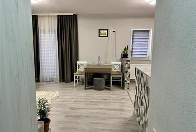 FILM&3D! Elegant, mobilat, accesorizat,totul nou,gata de mutat/inchiriat, Unirii - 11