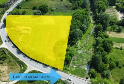 Teren de 10176 mp, în Mihăești - 9