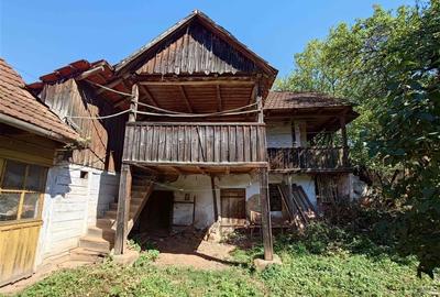 Teren intravilan cu potential, casa si anexe in Lunca - 7