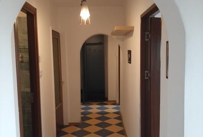 Piata Muncii-Campia Libertatii stradal - 9