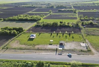 Inchiriere platforma teren 4.000 mp Curtici - 12