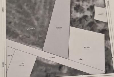 Spațiu comercial, în Bucium - 13