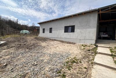 Casă cu 4 camere cu Teren 1900 Mp în Chiochiș